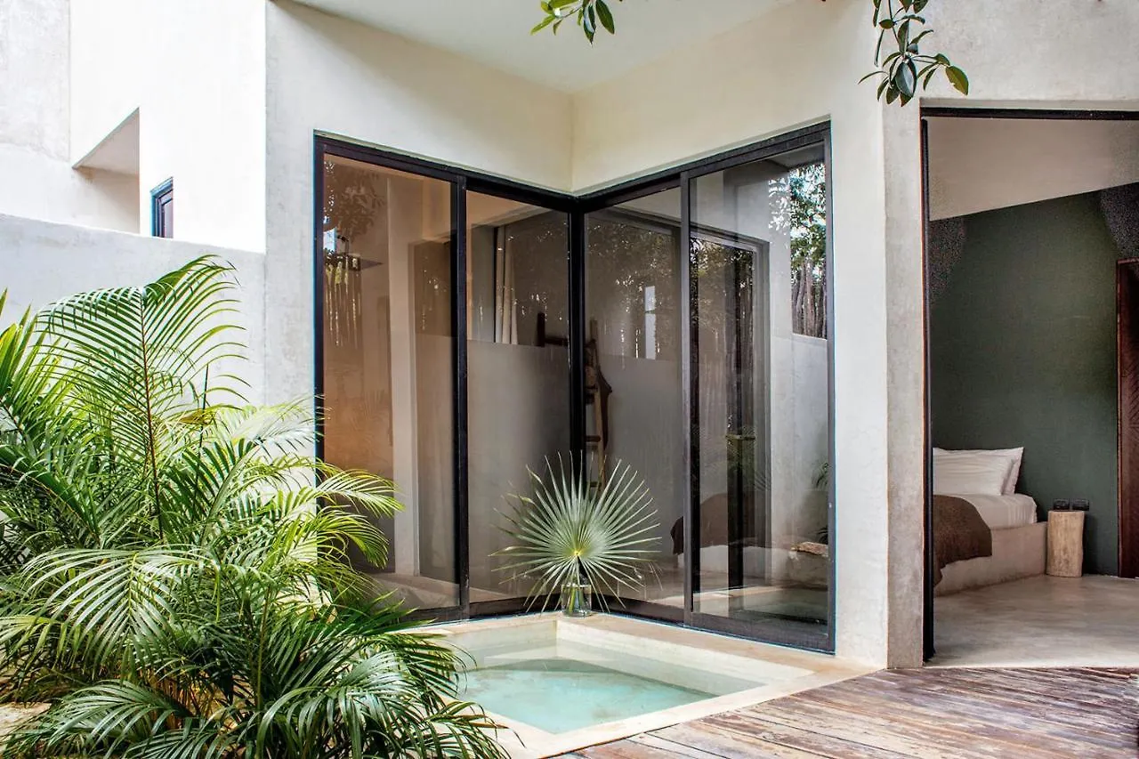 Villa In La Veleta For 16 Guests Tulum