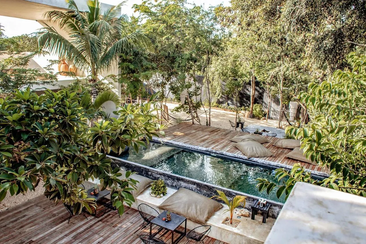 Villa In La Veleta For 16 Guests Tulum