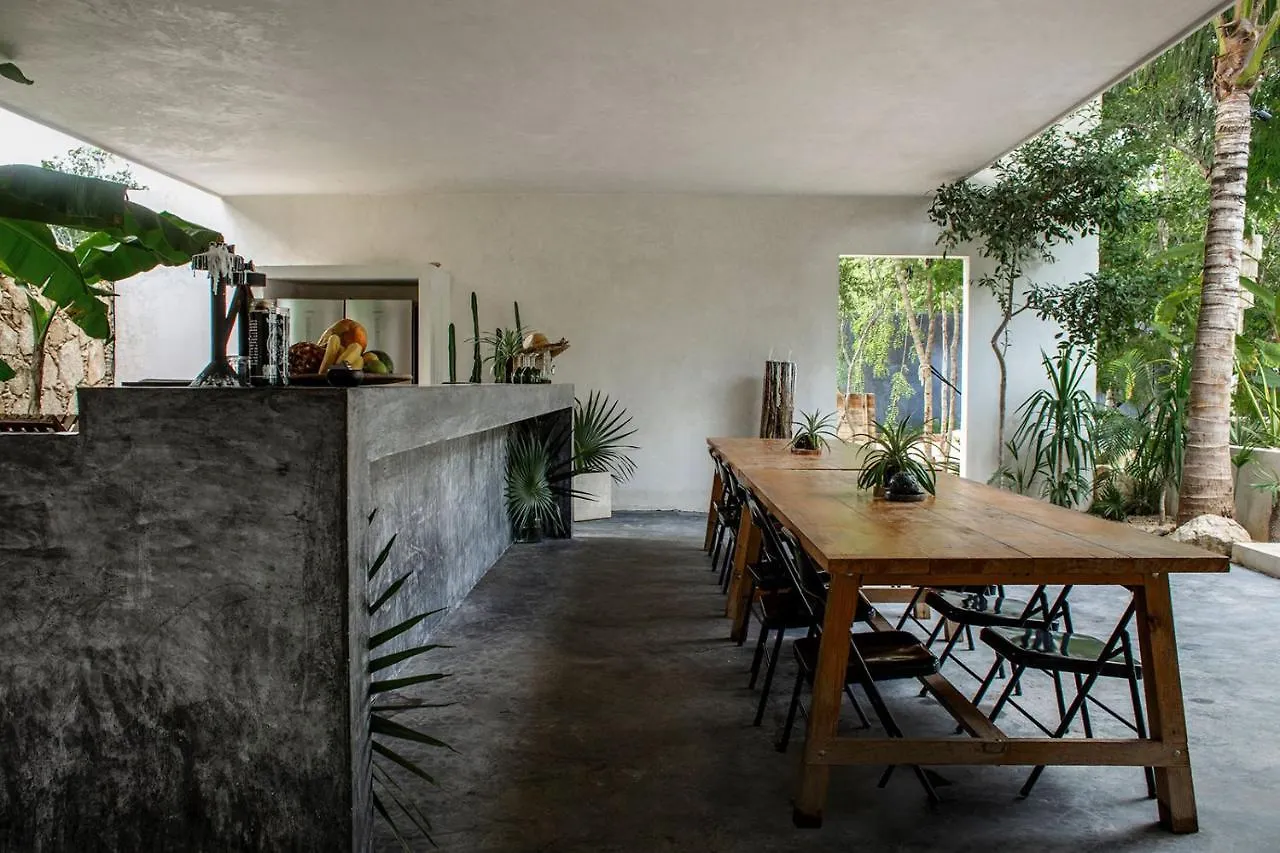 Villa In La Veleta For 16 Guests Tulum Mexico