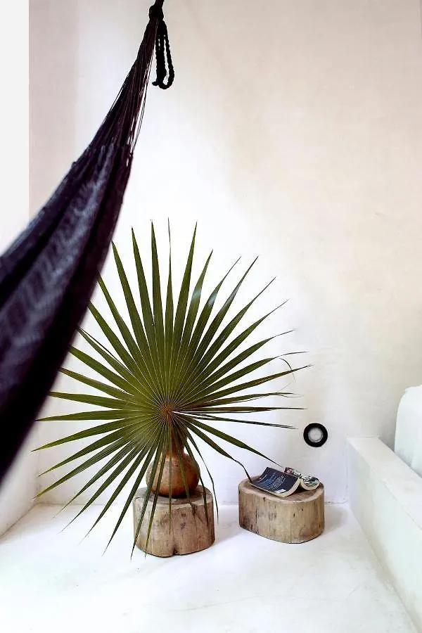 Villa In La Veleta For 16 Guests Tulum Mexico