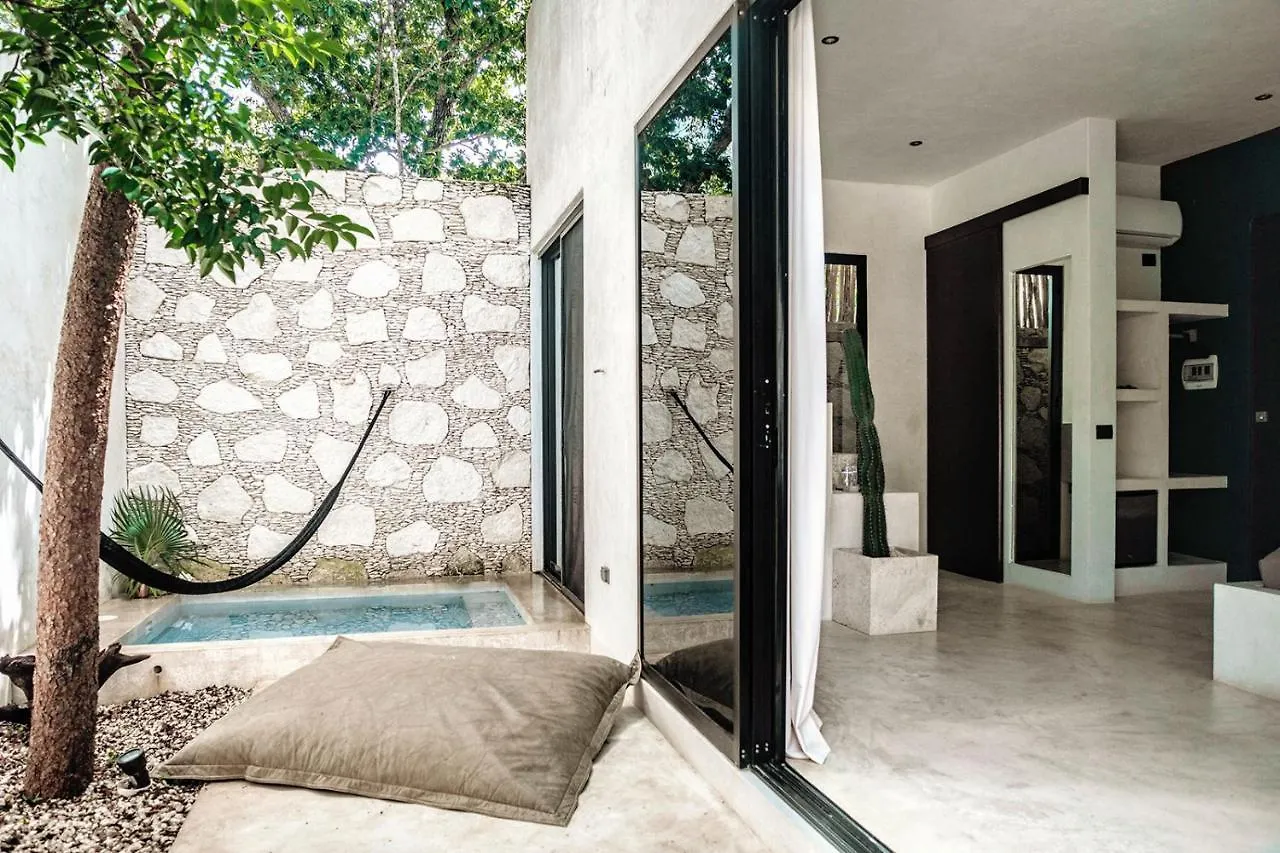 Villa In La Veleta For 16 Guests Tulum