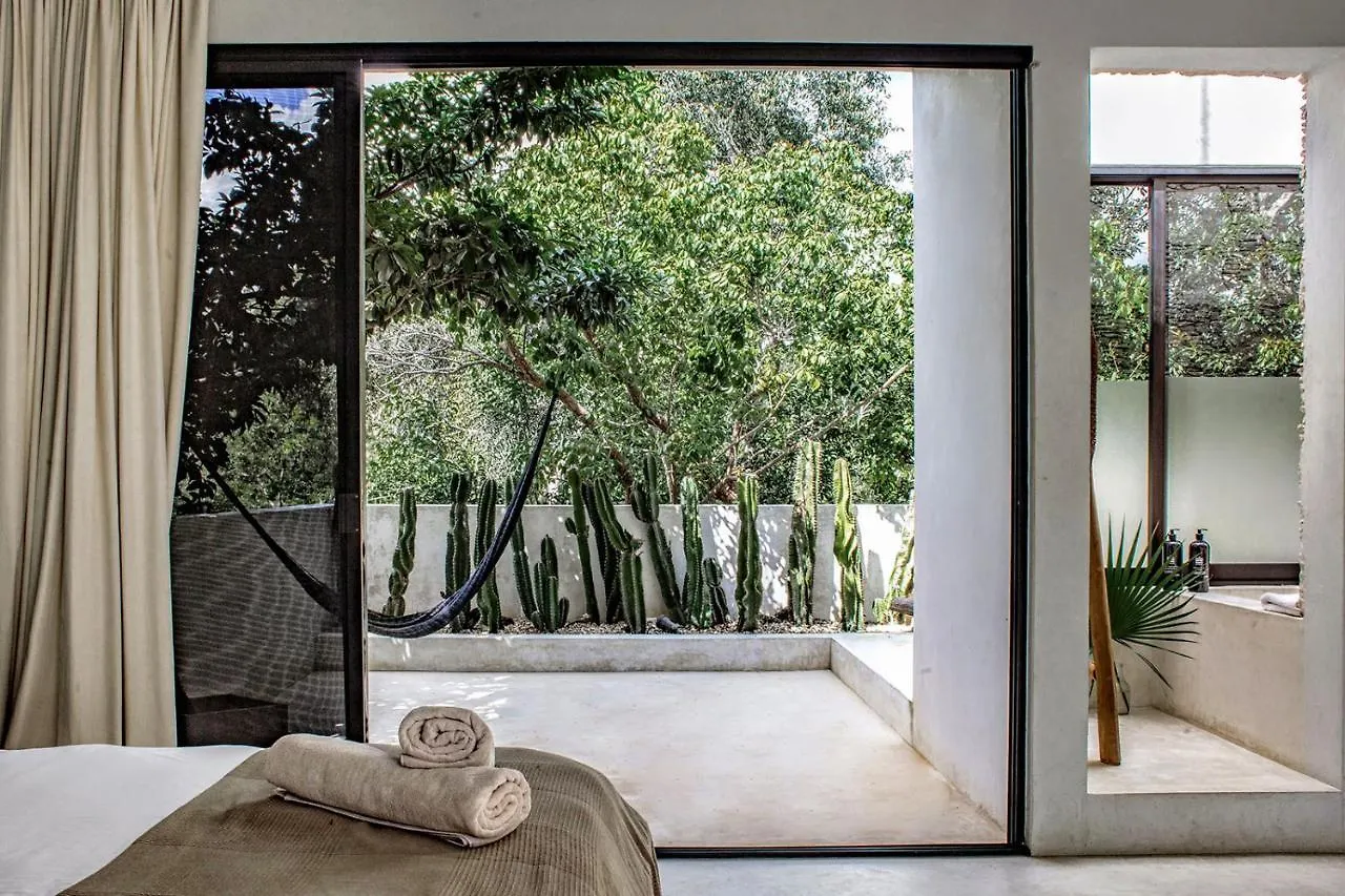 Holiday home Villa In La Veleta For 16 Guests Tulum