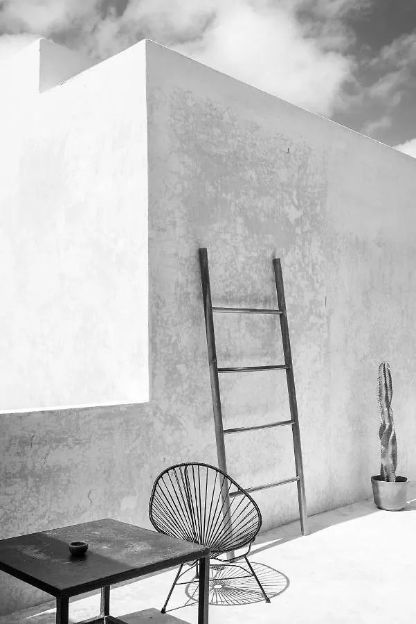 Villa In La Veleta For 16 Guests Tulum Holiday home