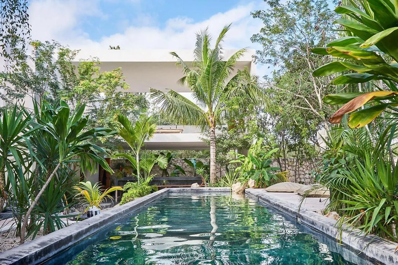 Villa In La Veleta For 16 Guests Τουλούμ 0*,  Μεξικό