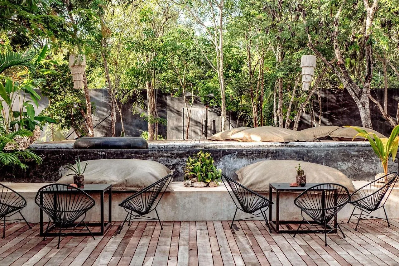 Villa In La Veleta For 16 Guests Τουλούμ Μεξικό